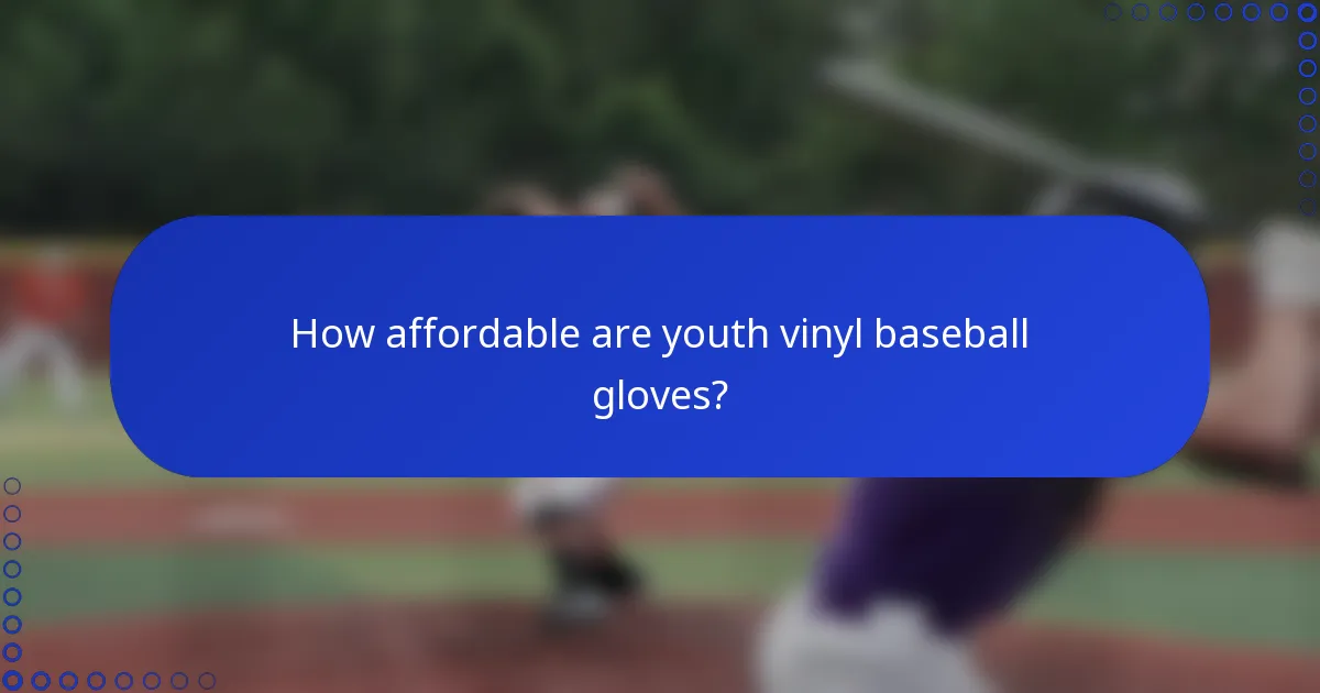 How affordable are youth vinyl baseball gloves?