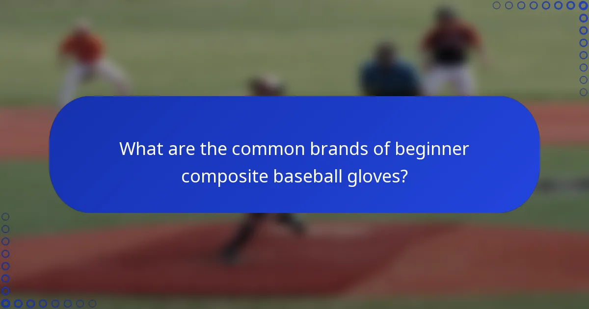 What are the common brands of beginner composite baseball gloves?