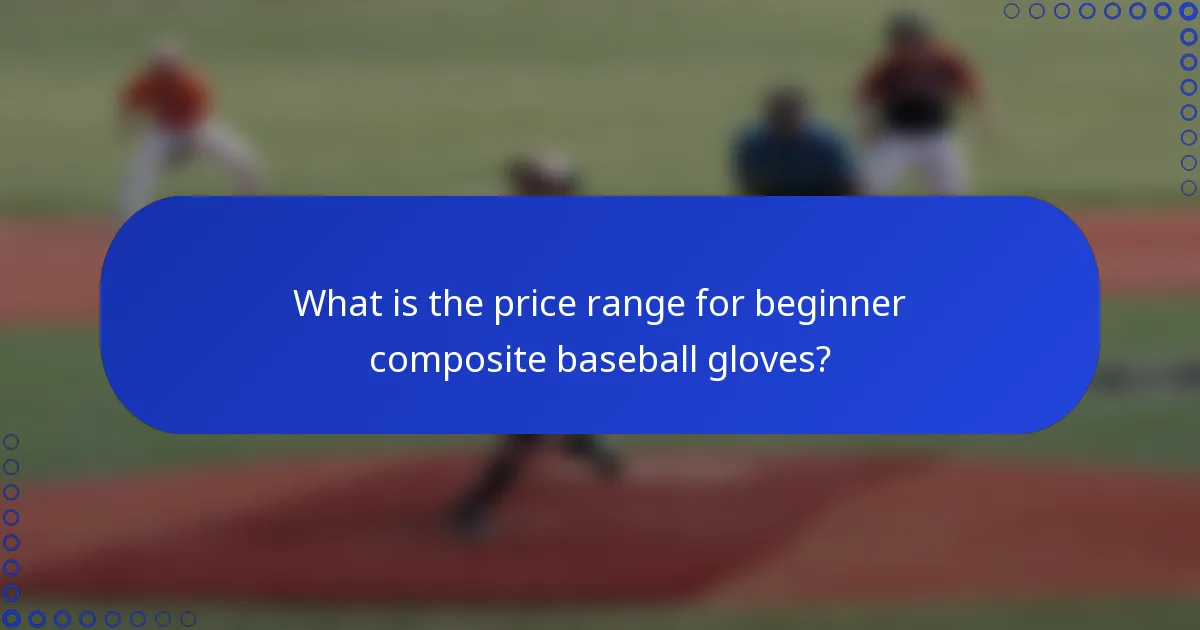 What is the price range for beginner composite baseball gloves?