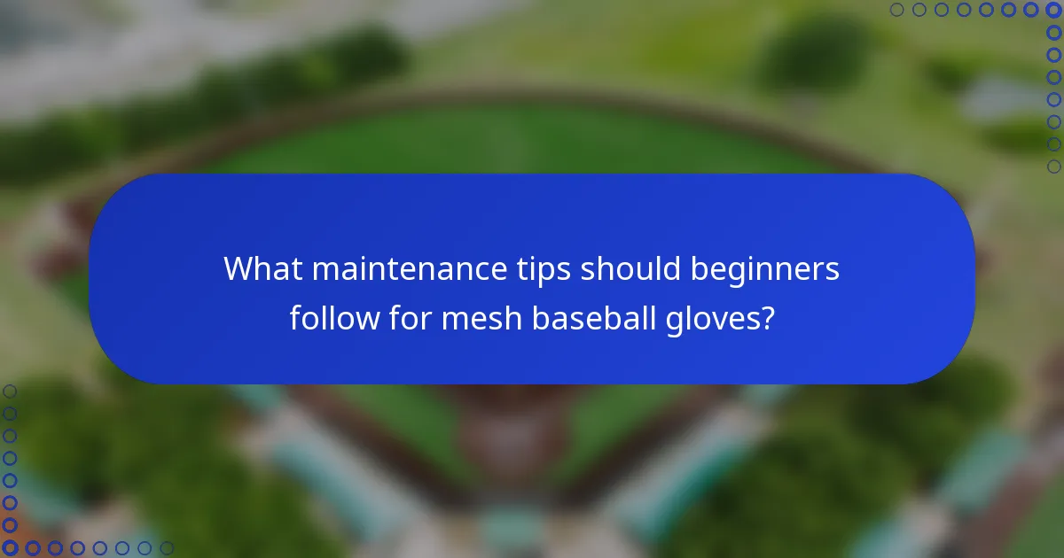 What maintenance tips should beginners follow for mesh baseball gloves?