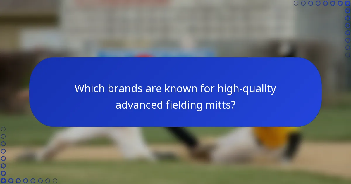 Which brands are known for high-quality advanced fielding mitts?