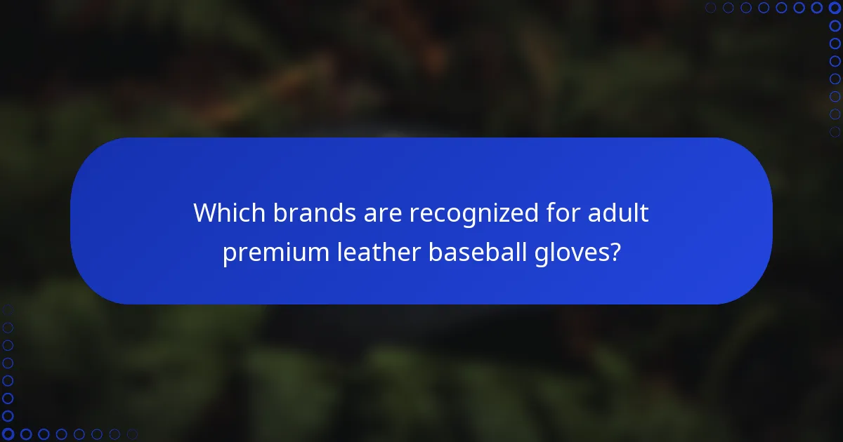 Which brands are recognized for adult premium leather baseball gloves?