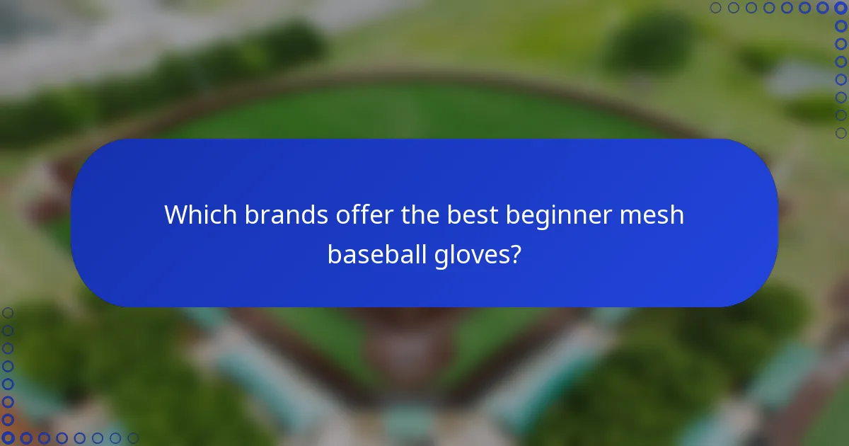 Which brands offer the best beginner mesh baseball gloves?