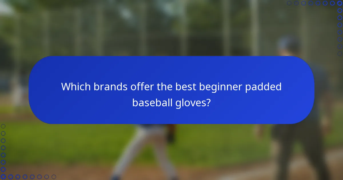 Which brands offer the best beginner padded baseball gloves?