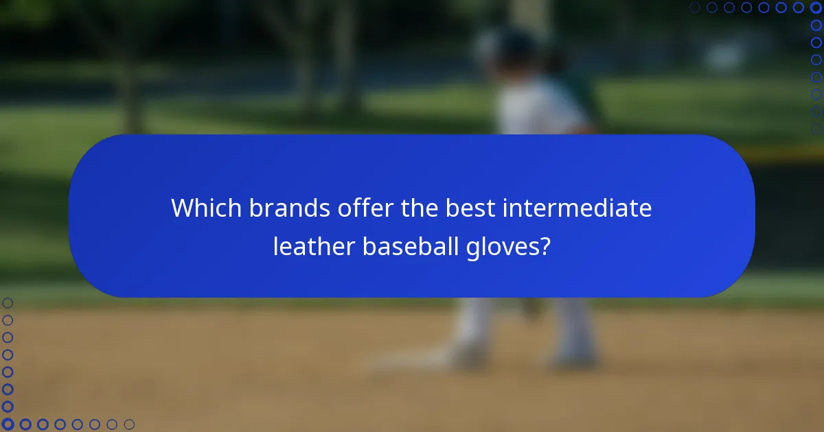 Which brands offer the best intermediate leather baseball gloves?