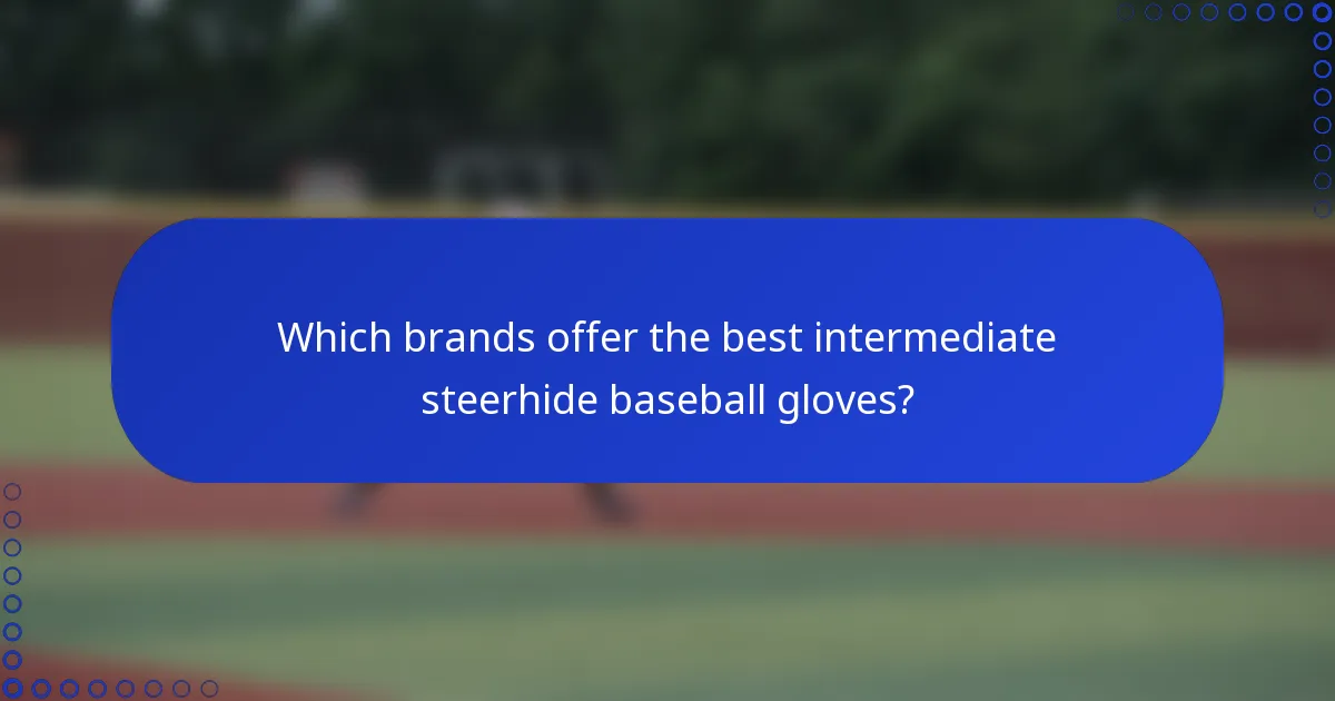 Which brands offer the best intermediate steerhide baseball gloves?
